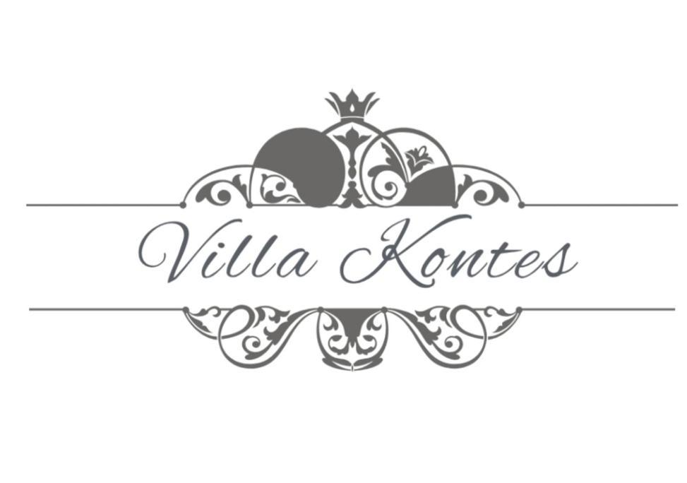 Villa Kontes Kefalonia Kardhakáta エクステリア 写真