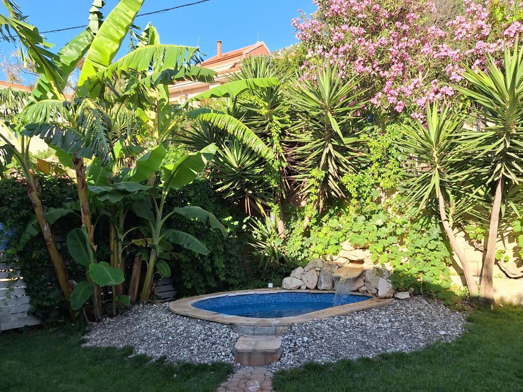 Villa Kontes Kefalonia Kardhakáta エクステリア 写真